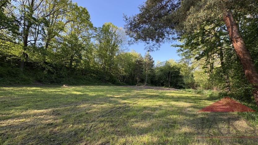 Prodej louky, Sušice, 4420 m2