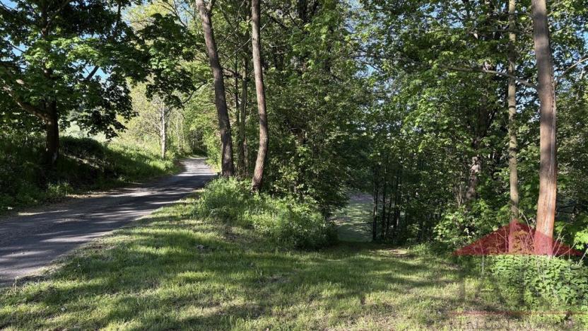 Prodej louky, Sušice, 4420 m2