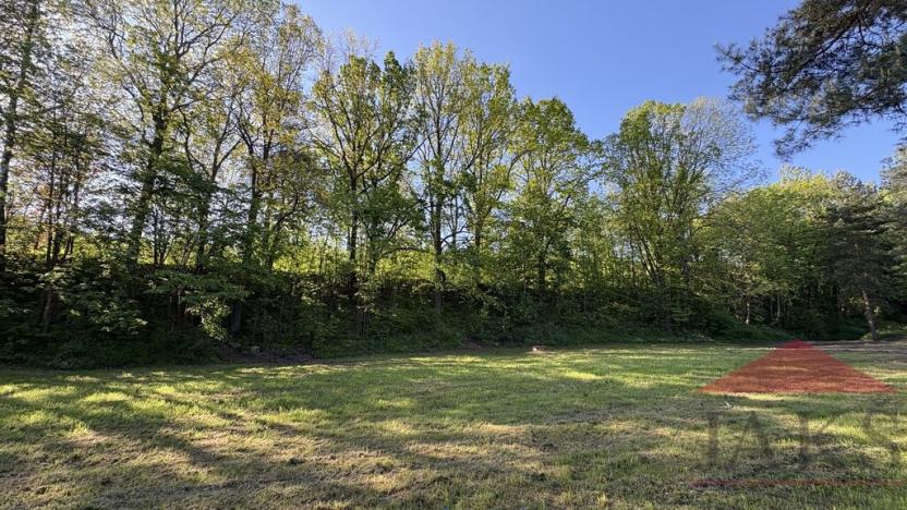 Prodej louky, Sušice, 4420 m2