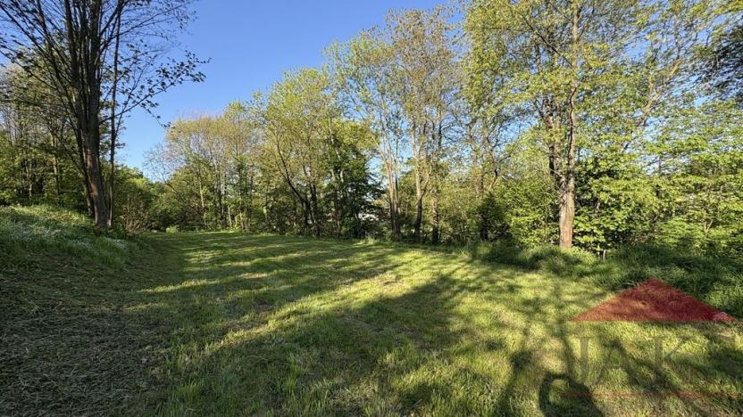 Prodej zahrady, Sušice, 1567 m2