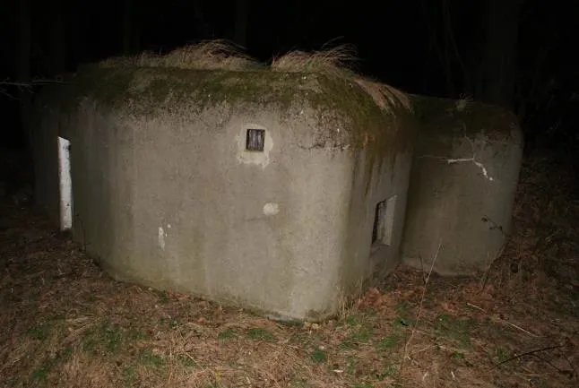 Dražba pole, Dolní Lutyně, 50016 m2