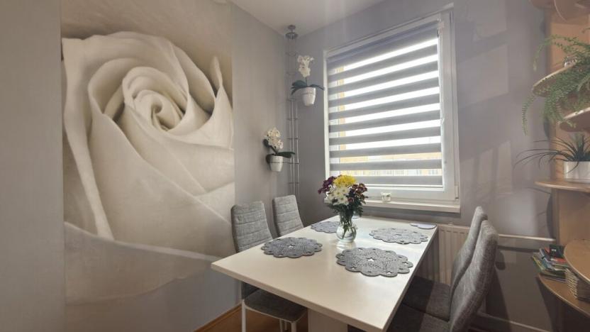 Prodej bytu 4+1, České Budějovice - České Budějovice 2, M. Chlajna, 67 m2