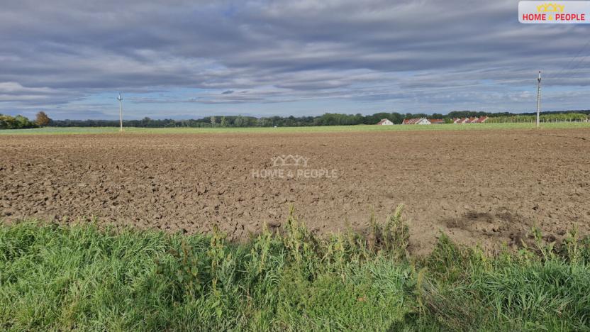 Prodej komerčního pozemku, Malešovice, 12361 m2