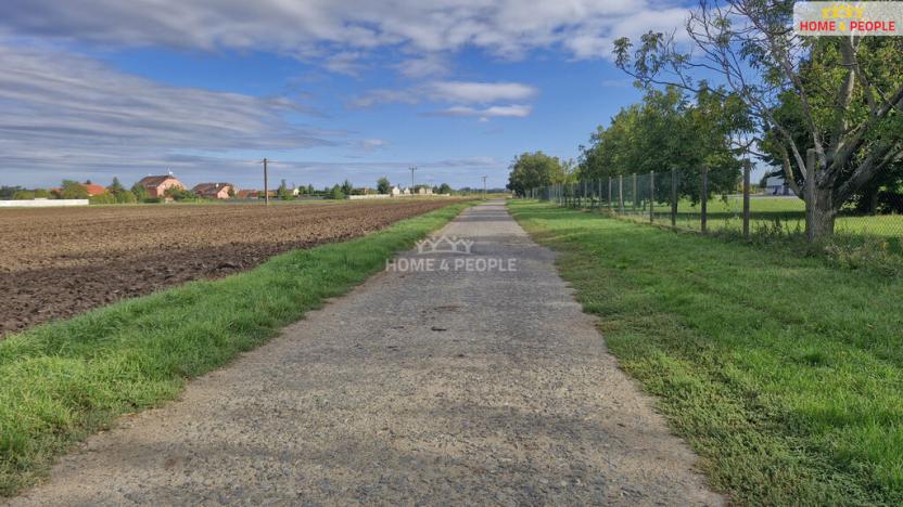 Prodej komerčního pozemku, Malešovice, 12361 m2