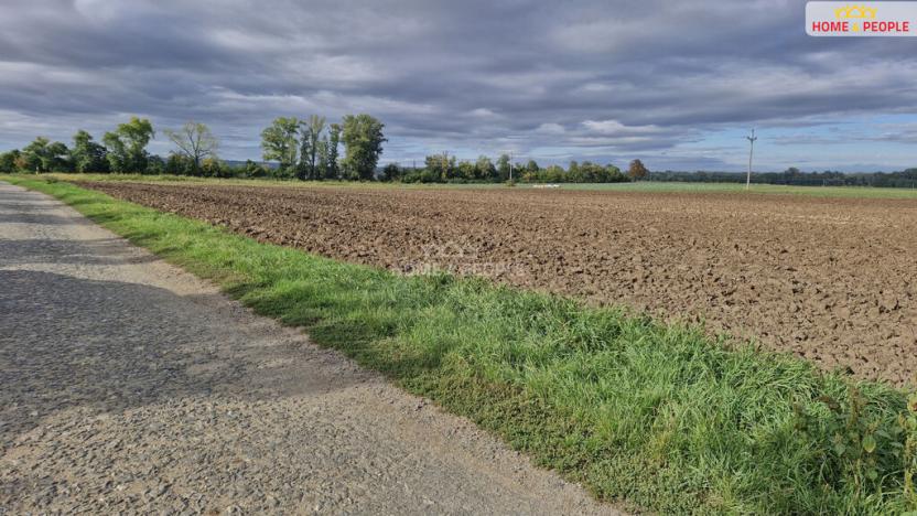 Prodej komerčního pozemku, Malešovice, 12361 m2