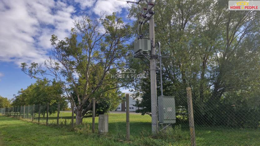 Prodej komerčního pozemku, Malešovice, 12361 m2