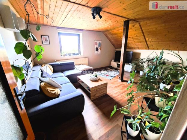 Prodej rodinného domu, Františkovy Lázně - Horní Lomany, Konečná, 430 m2