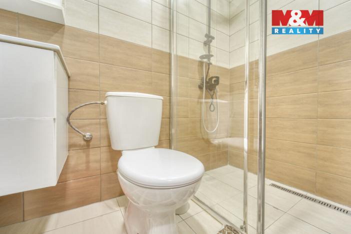 Prodej rodinného domu, Chotěšov, Starý mlýn, 353 m2