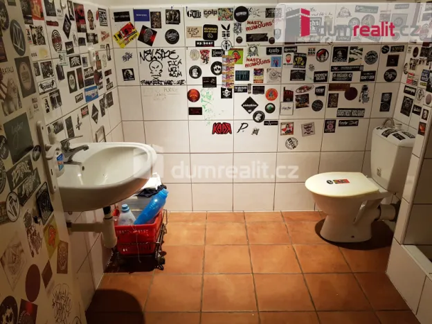 Pronájem komerční nemovitosti, České Budějovice - České Budějovice 6, U Tří lvů, 220 m2