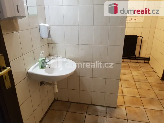 Pronájem komerční nemovitosti, České Budějovice - České Budějovice 6, U Tří lvů, 220 m2