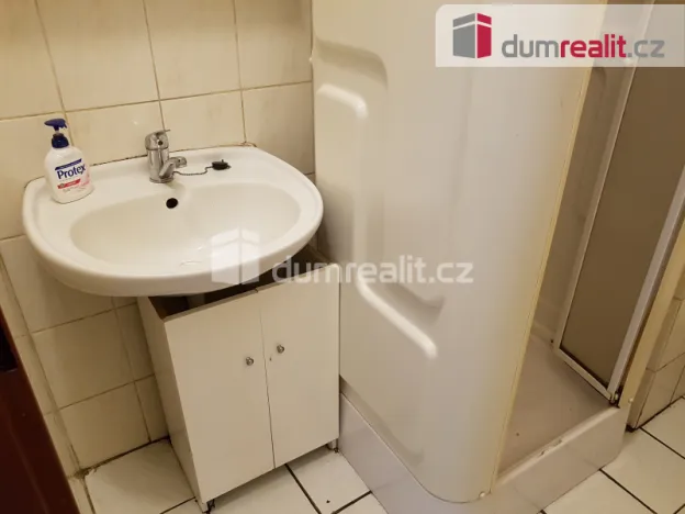 Pronájem komerční nemovitosti, České Budějovice - České Budějovice 6, U Tří lvů, 220 m2