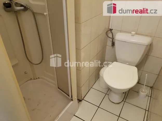 Pronájem komerční nemovitosti, České Budějovice - České Budějovice 6, U Tří lvů, 220 m2