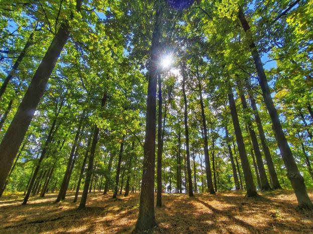 Prodej ubytování, Doksy - Staré Splavy, Pod Borným, 27 m2