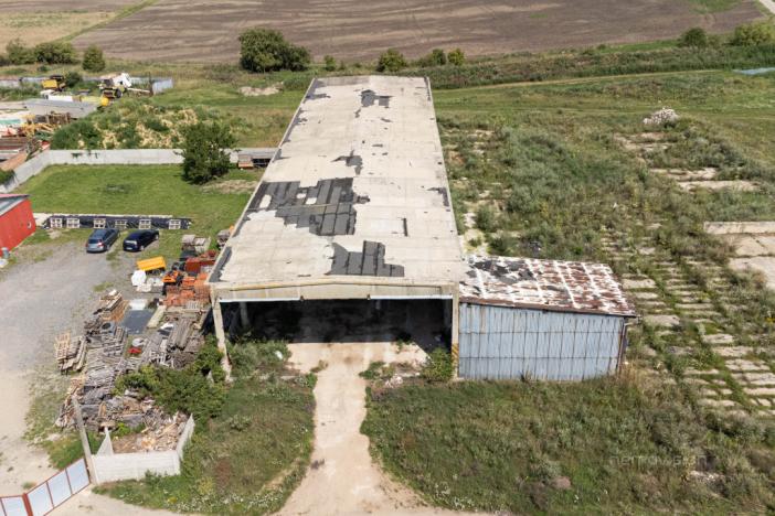 Prodej komerčního pozemku, Přibice, Přibice, 8115 m2