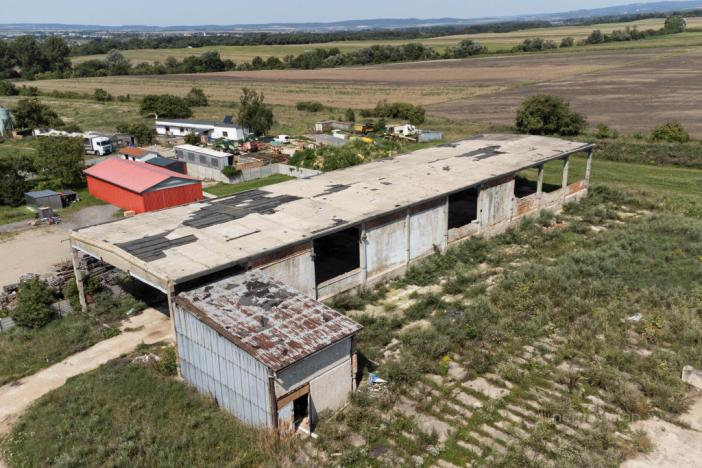 Prodej komerčního pozemku, Přibice, Přibice, 8115 m2