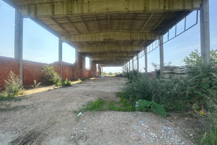 Prodej komerčního pozemku, Přibice, Přibice, 8115 m2