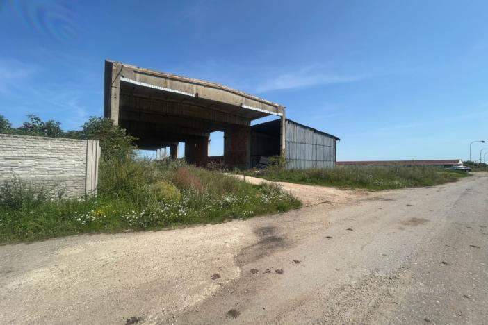 Prodej komerčního pozemku, Přibice, Přibice, 8115 m2