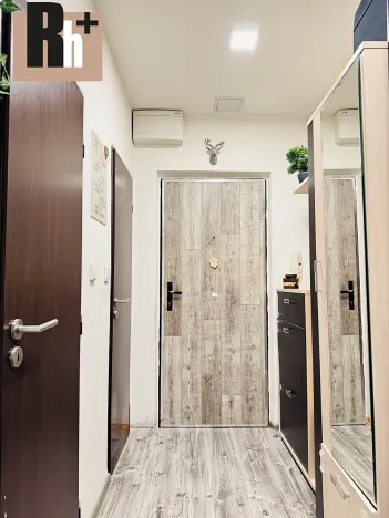 Prodej bytu 3+1, Orlová, Lesní, 56 m2