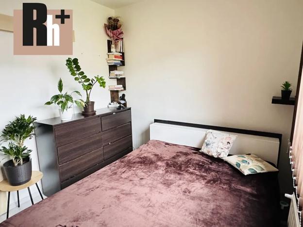 Prodej bytu 3+1, Orlová, Lesní, 56 m2