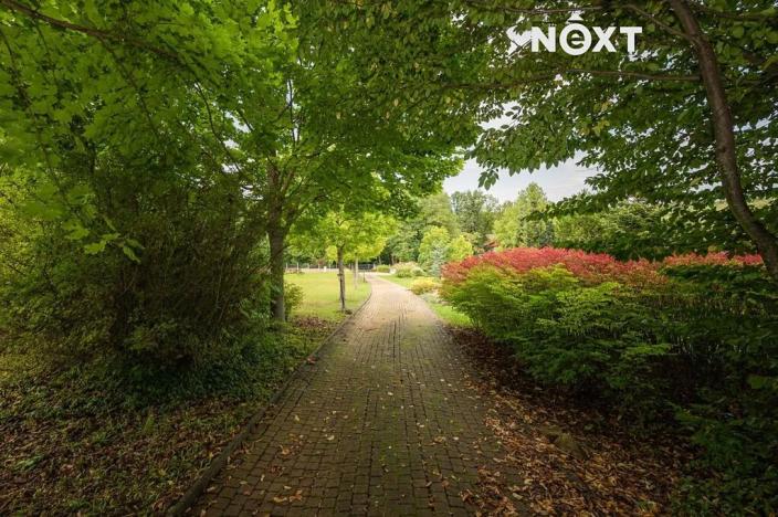 Prodej rodinného domu, Louka, 254 m2