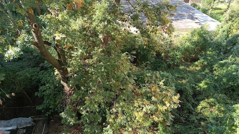 Prodej bytu 2+kk, Praha - Strašnice, Za poštou, 38 m2