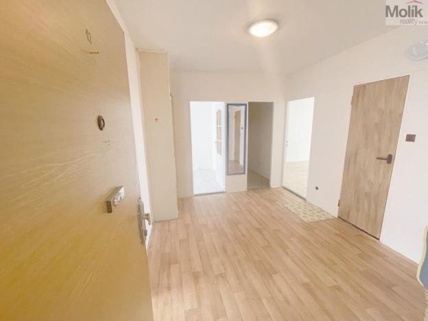 Prodej bytu 3+1, Litvínov - Janov, Hamerská, 69 m2