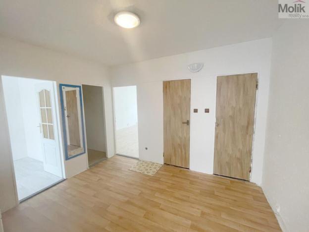 Prodej bytu 3+1, Litvínov - Janov, Hamerská, 69 m2