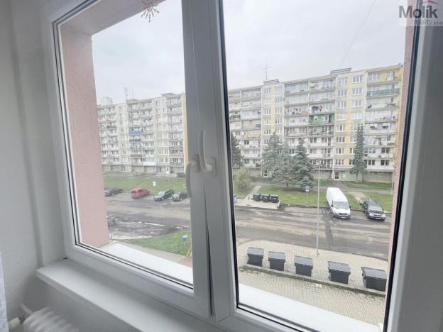 Prodej bytu 3+1, Litvínov - Janov, Hamerská, 69 m2