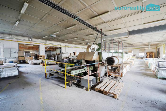 Prodej výrobních prostor, Plesná, Dlouhá, 2031 m2