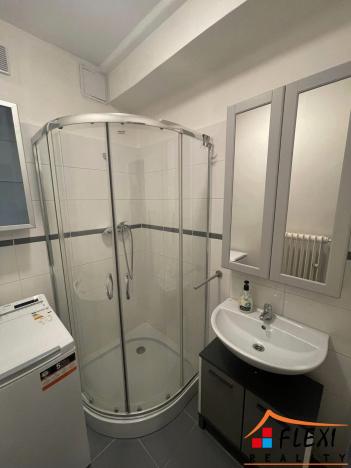 Pronájem bytu 1+1, Ostrava - Zábřeh, Dolní, 43 m2