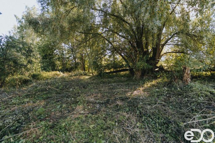 Prodej pozemku pro bydlení, Višňová, 3564 m2