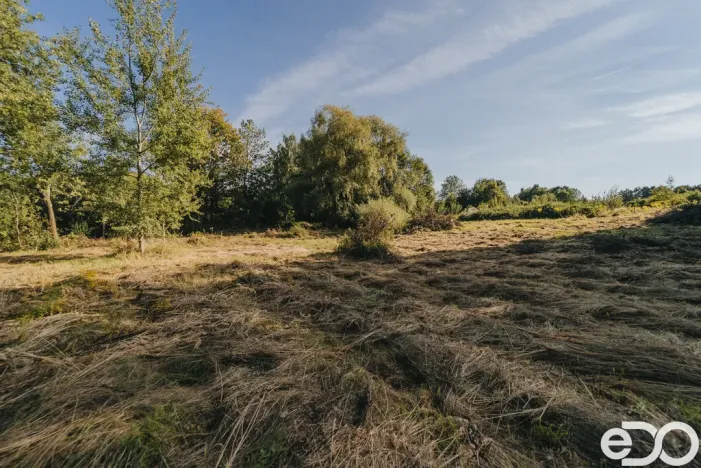 Prodej pozemku pro bydlení, Višňová, 3564 m2