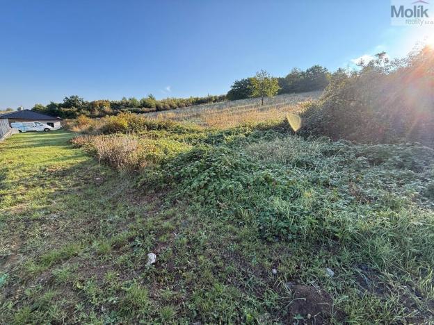 Prodej pozemku pro bydlení, Bžany - Bukovice, 1645 m2