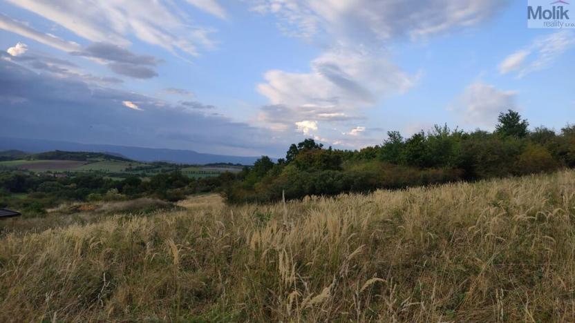 Prodej pozemku pro bydlení, Bžany - Bukovice, 1645 m2