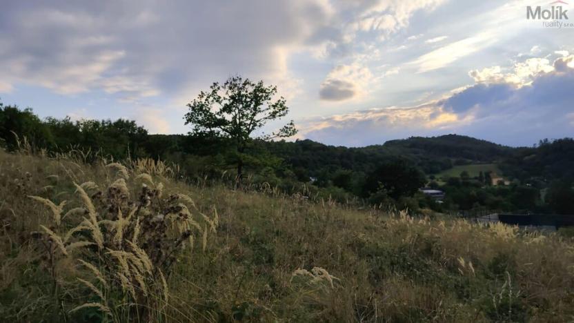 Prodej pozemku pro bydlení, Bžany - Bukovice, 1645 m2