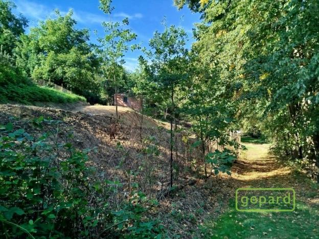 Prodej pozemku, Jivno, 745 m2