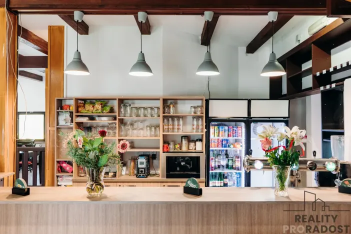 Prodej restaurace, Hodonín, Brandlova, 500 m2