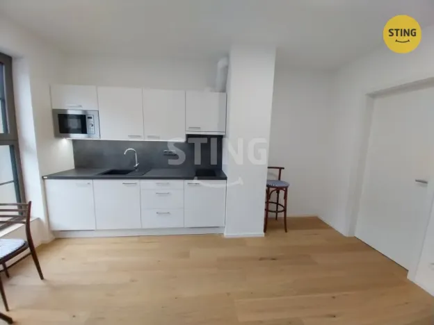 Pronájem bytu 1+kk, Brno, Bratislavská, 23 m2