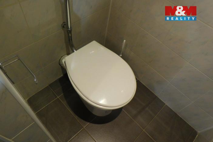 Pronájem bytu 1+1, Louny, Petra Obrovce, 35 m2