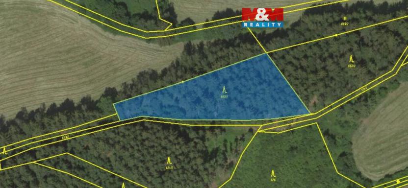 Prodej lesa, Borovnice, 38344 m2