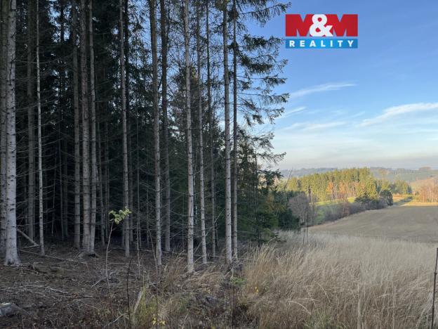 Prodej lesa, Borovnice, 38344 m2