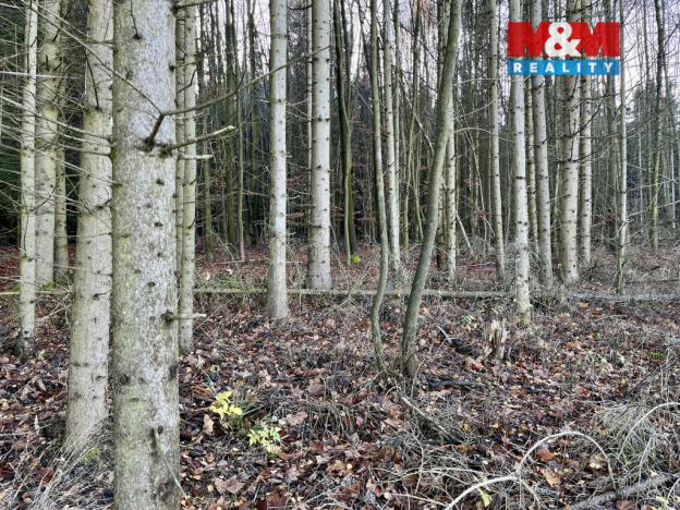 Prodej lesa, Borovnice, 38344 m2