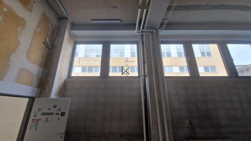 Pronájem obchodního prostoru, Praha - Holešovice, Jankovcova, 240 m2