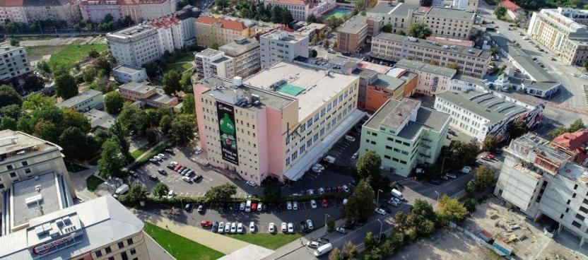 Pronájem obchodního prostoru, Praha - Holešovice, Jankovcova, 240 m2