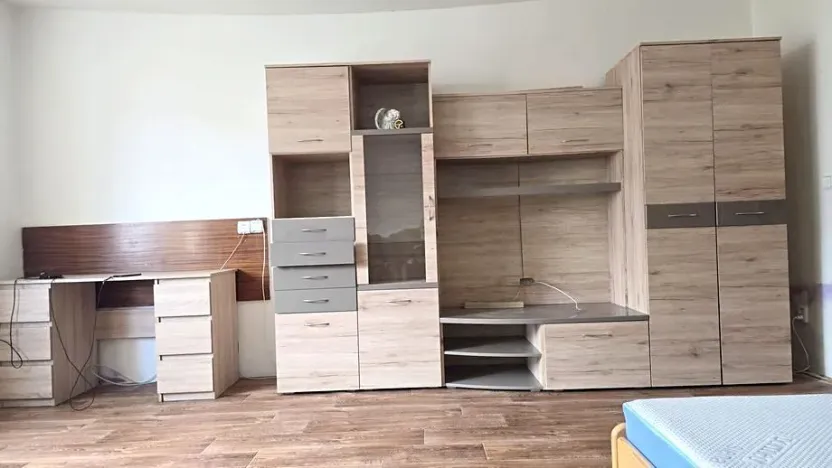 Prodej bytu 1+1, Mladé Buky, 49 m2