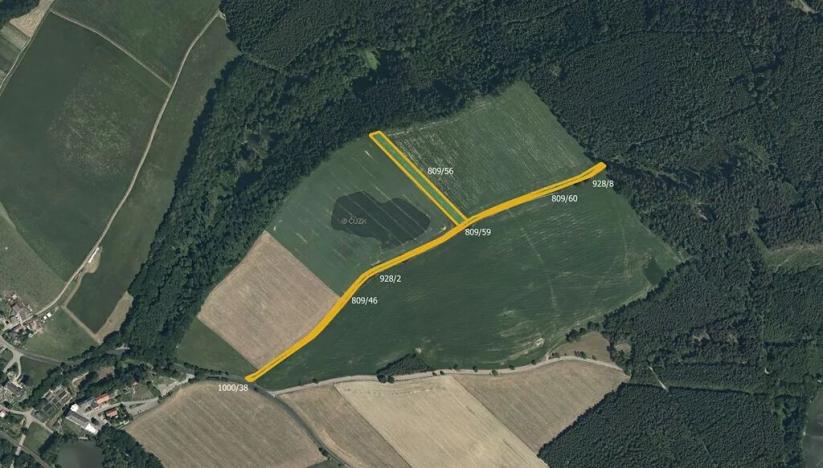 Prodej louky, Letohrad, 11377 m2