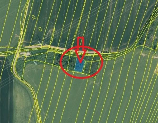 Prodej lesa, Temelín, 6256 m2