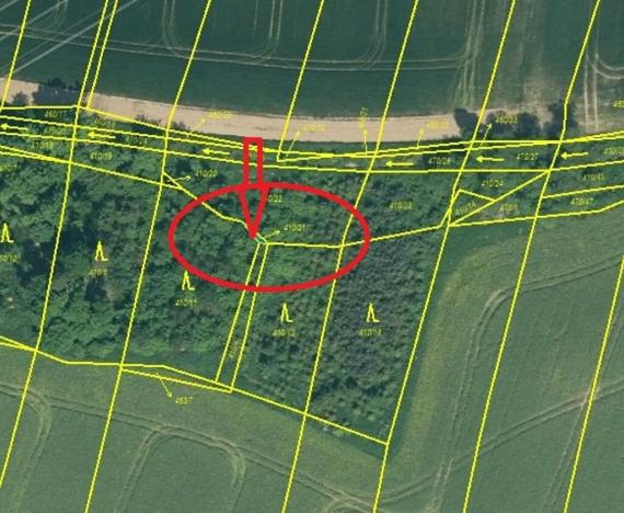 Prodej lesa, Temelín, 6256 m2