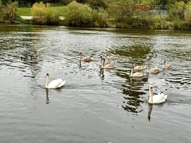 Prodej bytu 3+kk, Praha - Modřany, Zlochova, 77 m2