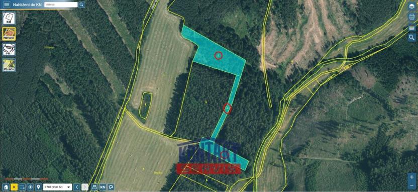 Prodej lesa, Křelovice - Rozněvice, 22768 m2